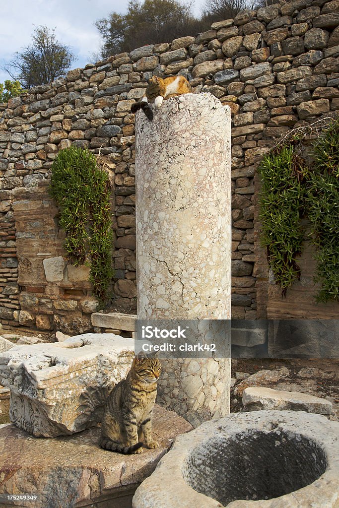 Kitties von Ephesus - Lizenzfrei Architektonische Säule Stock-Foto