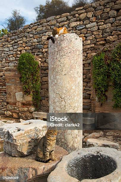 Kitties Von Ephesus Stockfoto und mehr Bilder von Architektonische Säule - Architektonische Säule, Asien, Ephesos