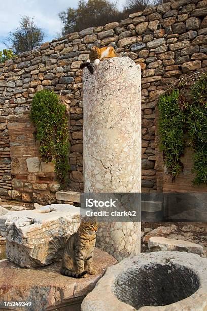 Kitties De Éfeso - Fotografias de stock e mais imagens de Animal - Animal, Arcaico, Coluna arquitetónica