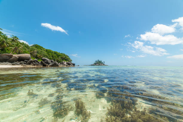 istock Clear water in Anse Royale beach 1752493900