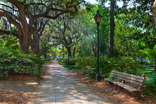 istock Forsyth Park, Savannah, Georgia, USA 175249550