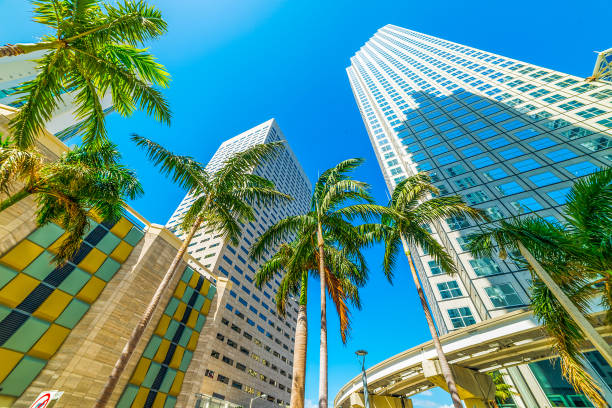 istock Skyscrapers and palm trees in downtown Miami on a sunny day 1752498235