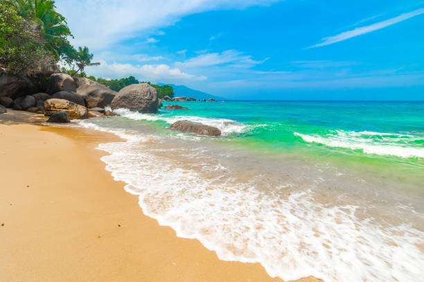 istock Sand and palm trees in Glacis beach 1752498236