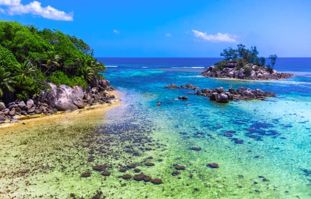 istock Aerial view of Anse Royale coral reef 1752499405