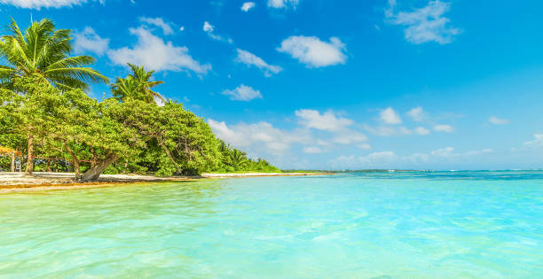 istock Colorful shore in Bois Jolan beach in Guadeloupe 1752500636