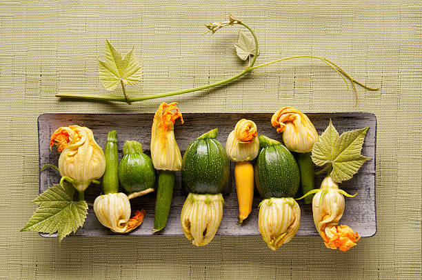 verde e giallo con fiori di zucchino estivo - flower directly above single flower zucchini foto e immagini stock