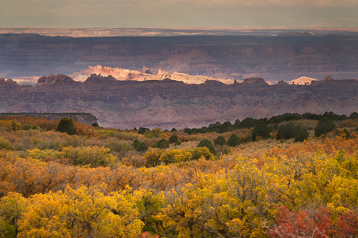 Looking west towards Canyonlands National Park, autumn colors cover the mountainside of the La Sal mountains in the Manti-La Sal National Forest outside Moab, Utah.