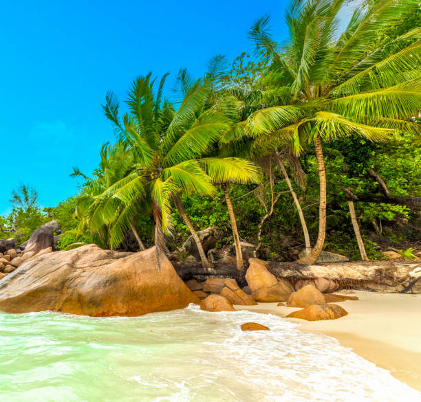 istock World famous Anse Lazio beach on a sunny day 1752505715