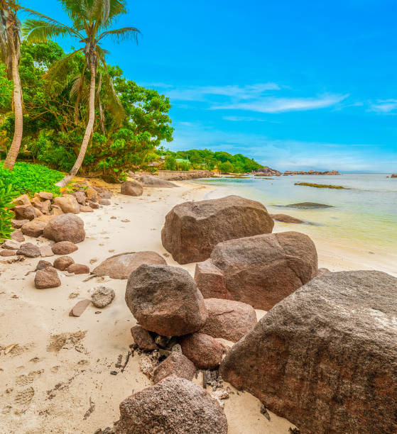istock Granite rocks and white sand in Anse Consolation 1752509754