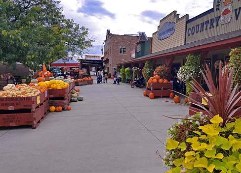 Vernon, British Columbia, Canada- September 28,2023: Autumn bounty of pumpkins and squash at an outdoor rural market. Historic facades and old brick building in background. A small number of people in background.