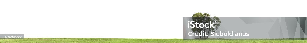 Панорамный луг с lone, одной сосны обыкновенной дерево (изолированные на белом). - Стоковые фото Без людей роялти-фри