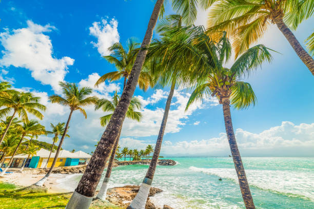istock Bas du Fort shore in Guadeloupe 1752511467