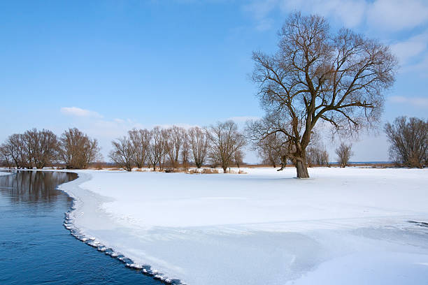 冬の風景 - untere havel ストックフォトと画像