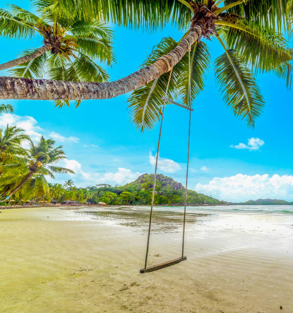 istock Swing on a Palm trees by the sea in Anse Volbert 1752513726
