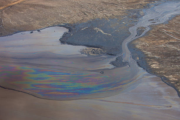 marea negra en agua - pollution oil oil slick water pollution fotografías e imágenes de stock