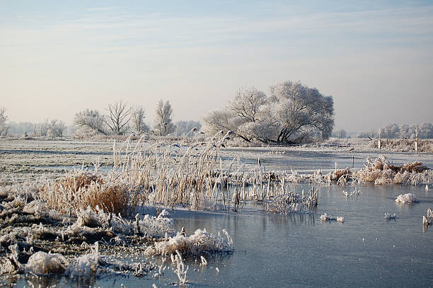 istock winter landscape at Havel River (Germany) 175251589