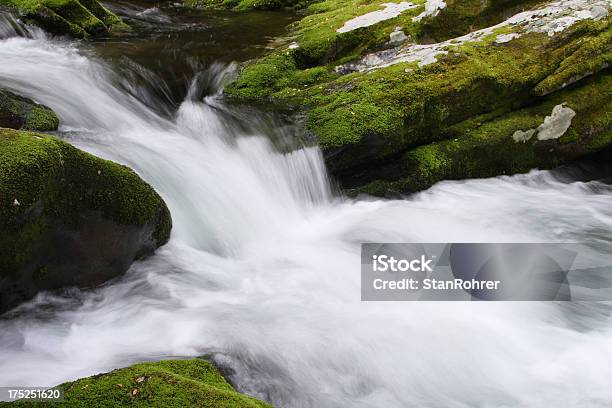 Muschio Verde Di Un Ruscello Di Montagna Che Scorre Acqua Montagne Fumose Tennessee - Fotografie stock e altre immagini di Acqua