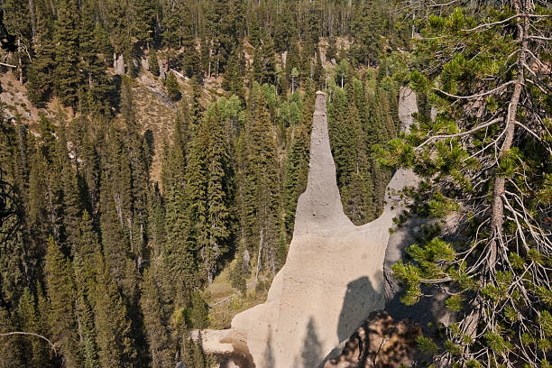 The Pinnacles The Pinnacles are towering needle-like formations of rock, called fossil fumaroles, that project from the bottom of Sand Creek Canyon. They were formed under sheets of volcanic pumice that preceded the collapse of Mount Mazama. As the surface of the hot pumice cooled, steam and gases were released through vents and tubes. The tubes were welded into cement hardness by the passage of the gases. Erosion later removed most of the softer surrounding ash and pumice, leaving the tall pinnacles and spires. The Pinnacles are southeast of Crater Lake in Crater Lake National Park, Oregon, USA. jeff goulden crater lake national park stock pictures, royalty-free photos & images