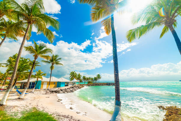 istock Sun shining over beautiful Bas du Fort beach in Guadeloupe 1752523919