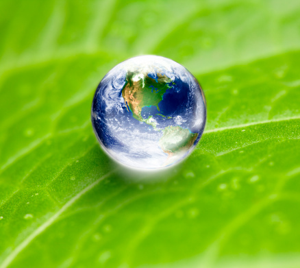 Ecology - Environmental conservation concept: World globe as waterdrop on a green leaf macro.