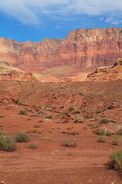 istock Marble canyon national park, Arizona, USA. 175252704
