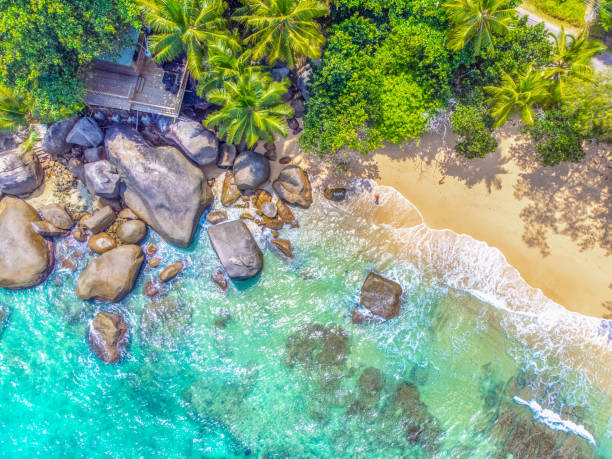 istock Aerial view of Glacis Beach 1752527379