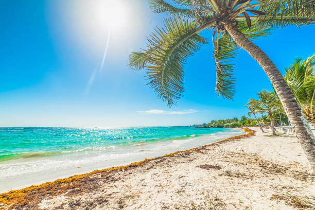 Raisins Clairs beach in Guadeloupe, French west indies. Lesser Antilles, Caribbean sea