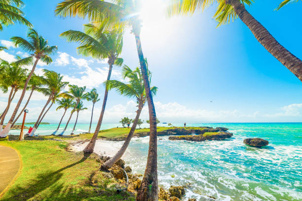 Beautiful Bas du Fort seafront in Guadeloupe