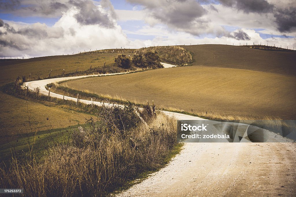 Chemin de terre dans la Toscane, Val d'Orcia, Italie - Photo de Agriculture libre de droits