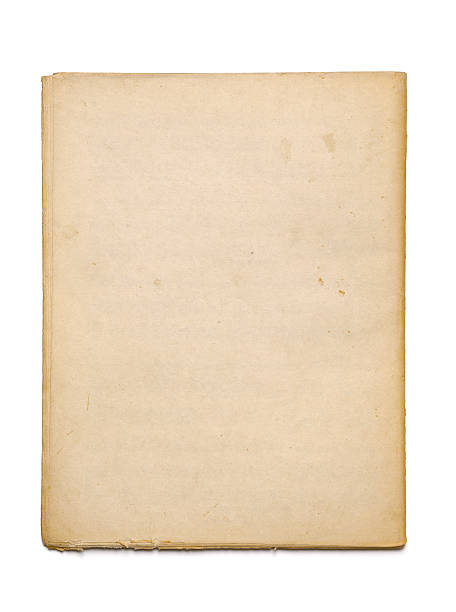 A sheet of old rough edged paper