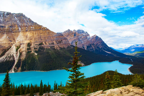 istock Drahon shaped lake in mountains among spruce trees. 1752536569