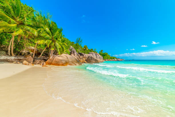 istock Rocks and palms by the sea in Anse Lazio beach 1752536997