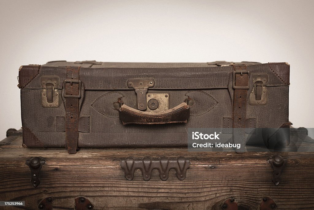 Retro mala sentado em tronco de madeira - Foto de stock de Couro royalty-free