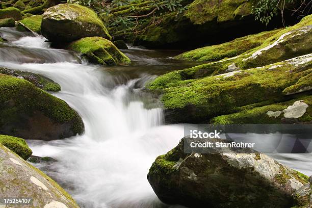Foto de Verde Musgo Mountain Stream Fluindo Água Smoky Mountains Tennessee e mais fotos de stock de Caminho Natural de Roaring Fork Motor