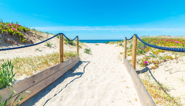 istock Path to the beach in San Giovanni di Sinis 1752542267
