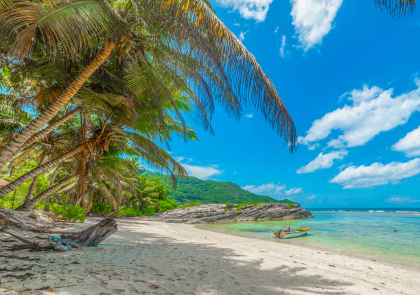 istock Wooden boat in Anse Forbans beach 1752542806