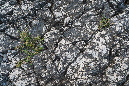 Abstract background with rock texture in close up