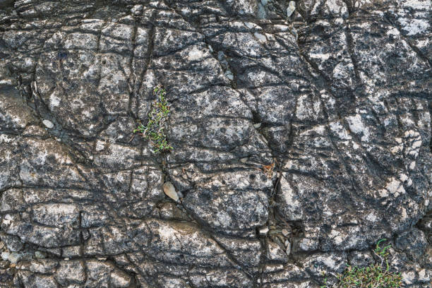 Abstract background with rock texture in close up