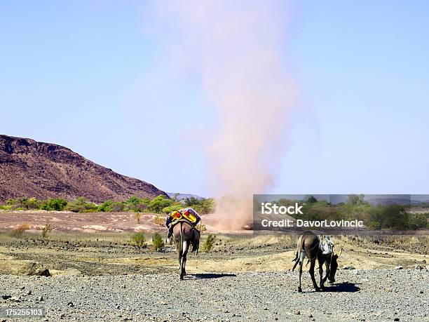 Sinsa Stock Photo - Download Image Now - Africa, Close-up, Danakil Desert
