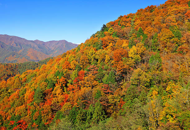 mountain Herbst – Foto