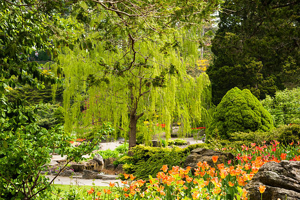 istock Shades of Green in  Spring Garden 175255242