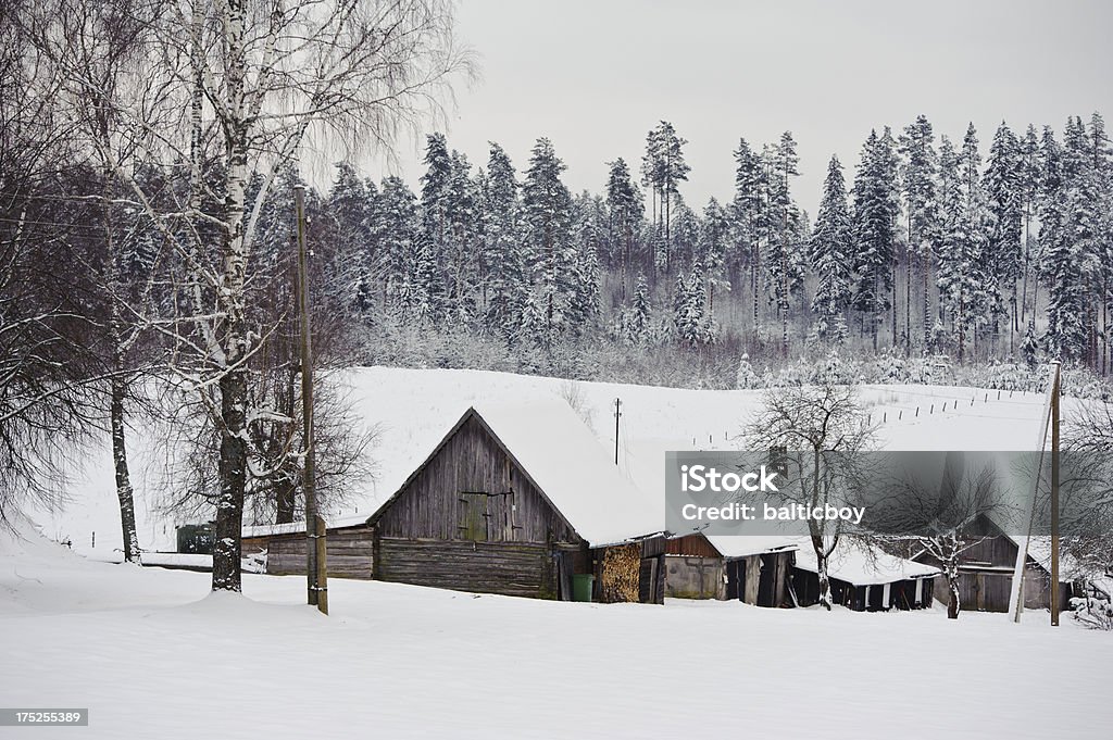 Paesaggio Paese di - Foto stock royalty-free di Albero