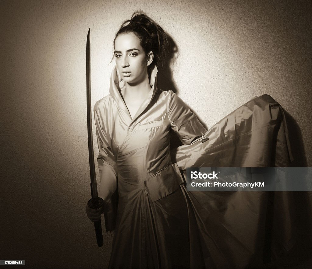 Принцесса Warrior - Стоковые фото Антиквариат роялти-фри