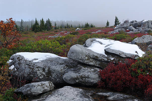 istock Bear Rocks of Dolly Sods Wilderness 175255546