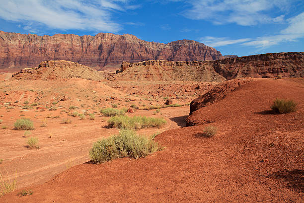 istock Marble canyon national park, Arizona, USA. 175255593