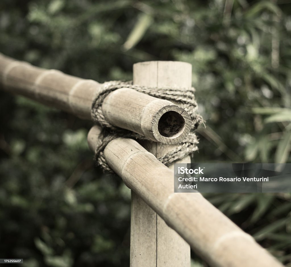Dos bambú canes juntos - Foto de stock de Aire libre libre de derechos