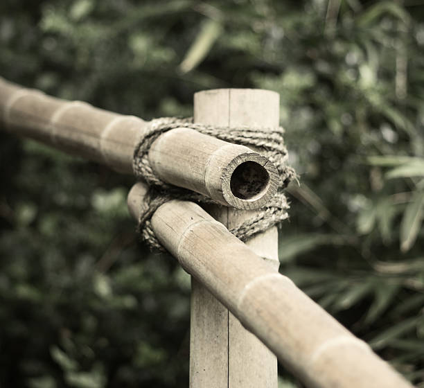 두 개의 대나무 지팡이 함께 - tied knot rope three objects string 뉴스 사진 이미지