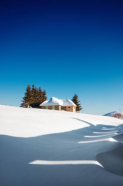 alpine hut cubierto con la nieve en invierno - shack european alps switzerland cabin fotografías e imágenes de stock