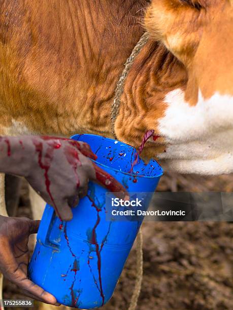 Mursi Alimentos - Fotografias de stock e mais imagens de Afro-americano - Afro-americano, Animal, Ao Ar Livre