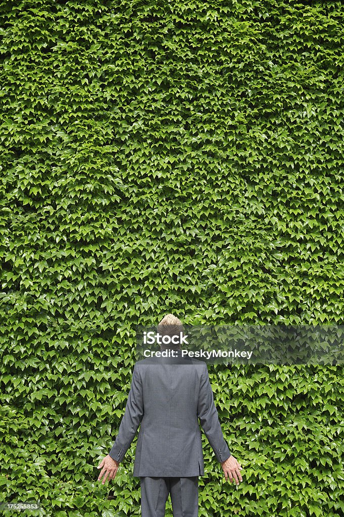 Uomo d'affari in piedi all'aperto guardando lontano da parete verde edera - Foto stock royalty-free di Adulto